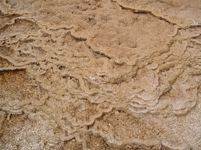 images/I-Main Terrace (10).jpg